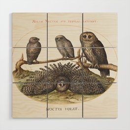 Four Owls Wood Wall Art