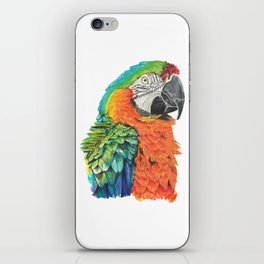 macaw parrot iPhone Skin
