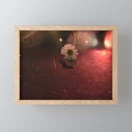 tiny daisy  Framed Mini Art Print