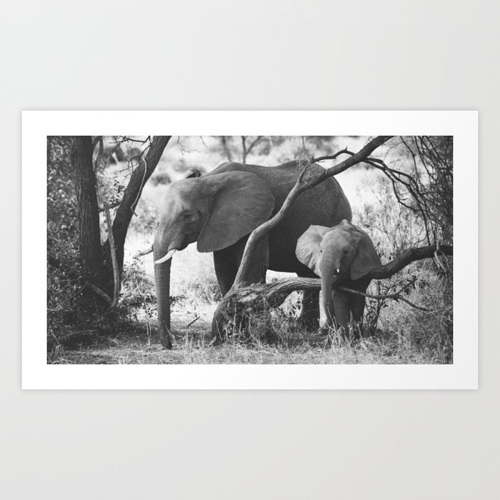 Elephants in Tanzania Art Print