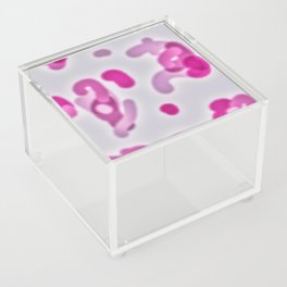 MICRO FUCHSIA Acrylic Box