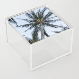 Mexico Photography - A Dry Palm Tree Seen From Below Acrylic Box