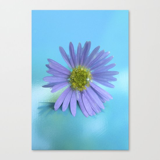 Still Got the Blues Canvas Print