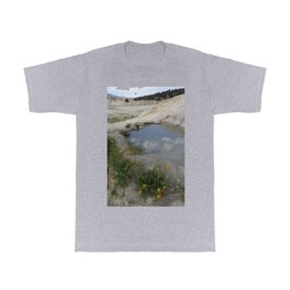 Hot spring oasis T Shirt