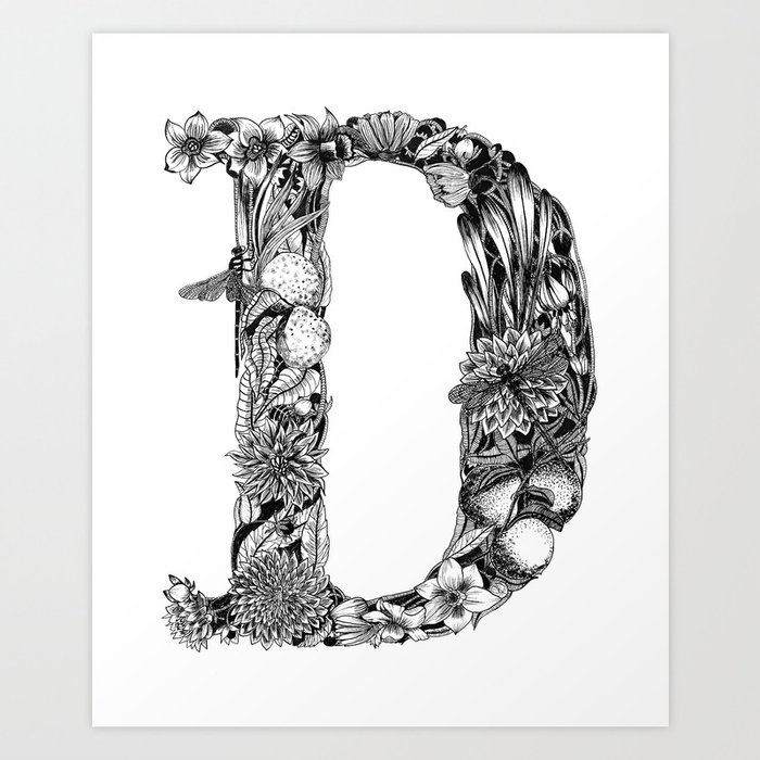 letter d drawing
