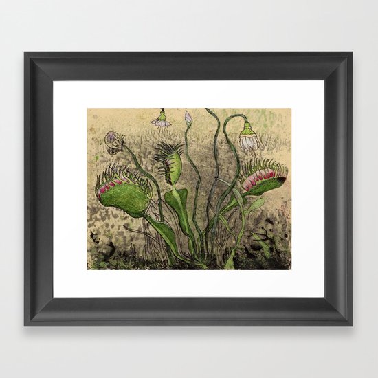 Venus Flytrap Framed Art Print