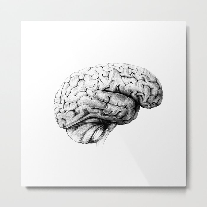 Brain Metal Print