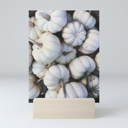 White Mini Pumpkins Mini Art Print