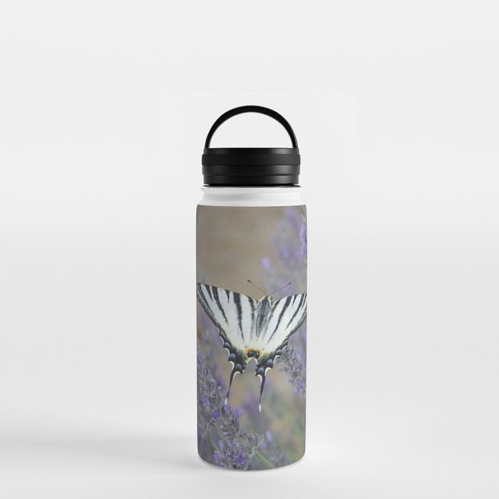 Elegant Swallowtail On Lavender Spike Photograph Water Bottle