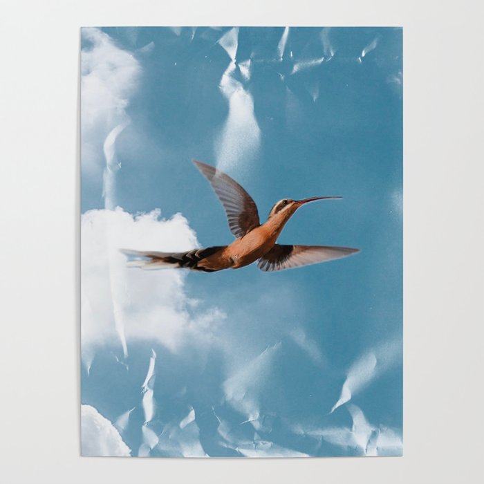 Planalto Hermit Hummingbird  Poster