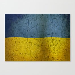 Ukrainian flag Canvas Print