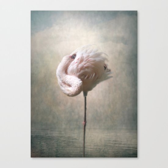 Sleeping Flamingo Canvas Print