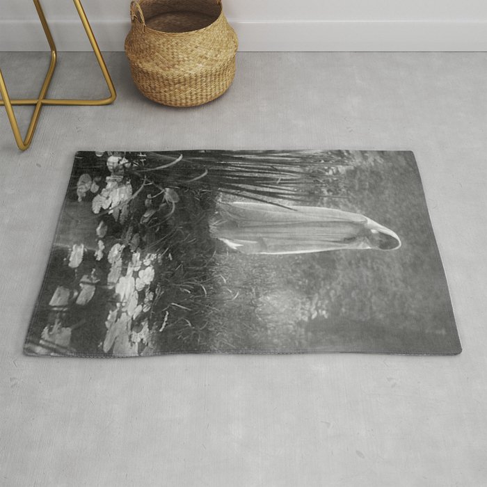 The Appartion (at the lily pond) black and white art photograph by Constant Puyo Rug