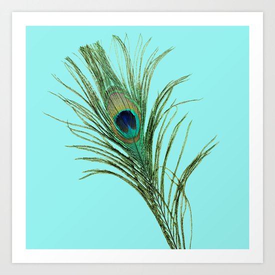 Peacock Feather on Blue Background Art Print