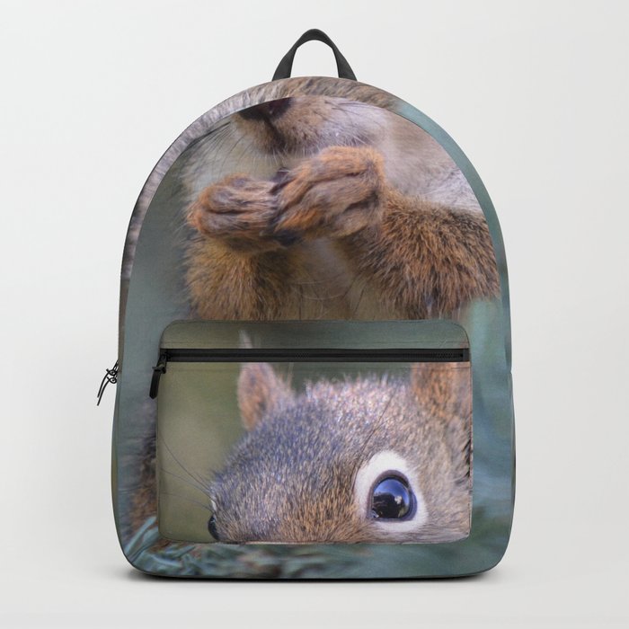 Mr. Squirrel ~ I Backpack