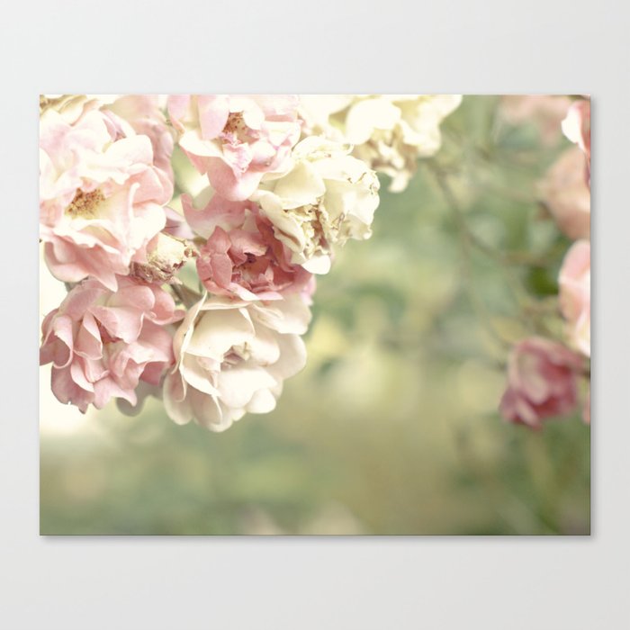 Tickled Pink Canvas Print