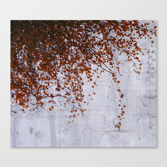 wall of tears Canvas Print