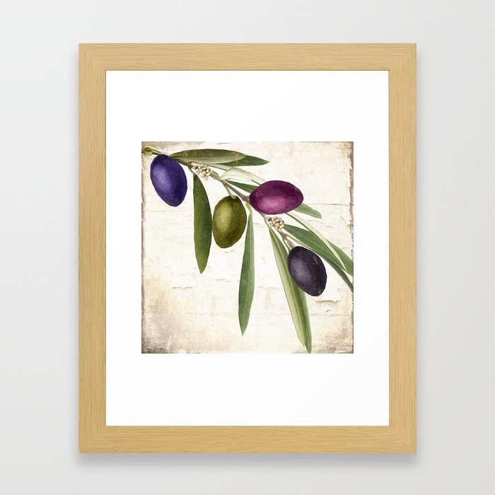 Olive Branch IV Framed Art Print