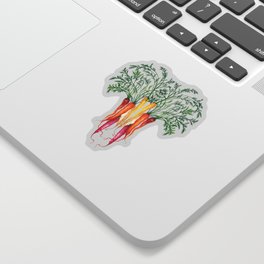Food illustration - A beautiful bunch of carrots  Sticker