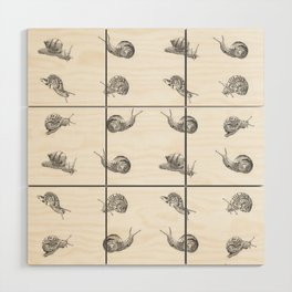 Snail Pattern Wood Wall Art