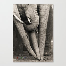 ELEPHANT TRUNKs Canvas Print