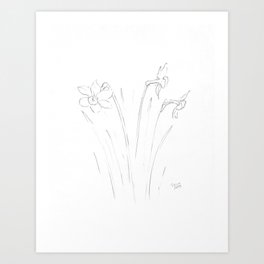 Daffodil Art Prints For Any Decor Style Society6