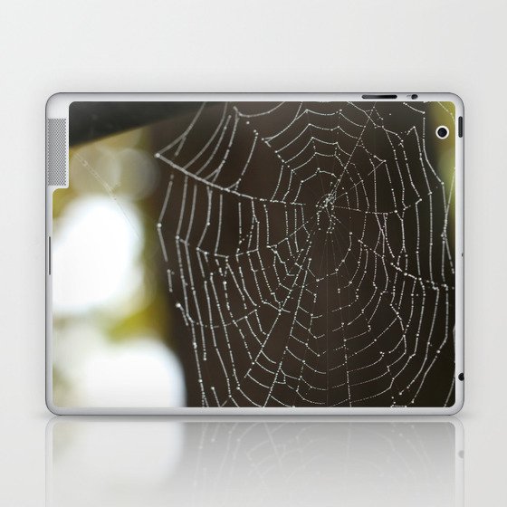 Spiderweb in Spring Laptop & iPad Skin