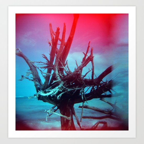 Weathered Lore II Art Print