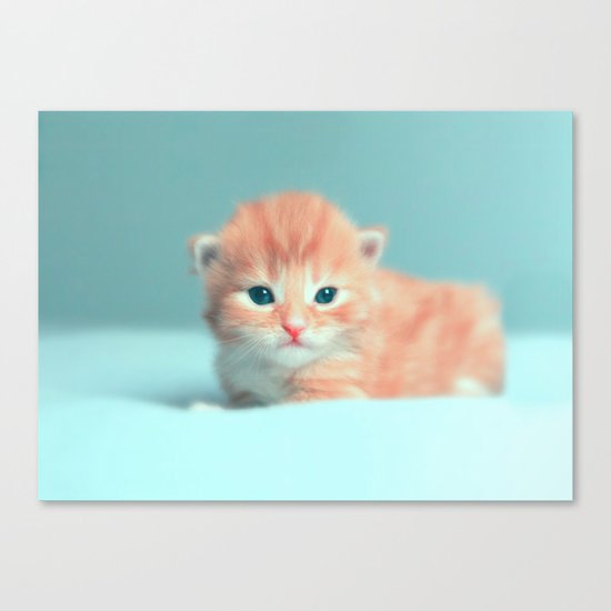 CAt Canvas Print