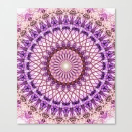 Pink and violet mandala Canvas Print