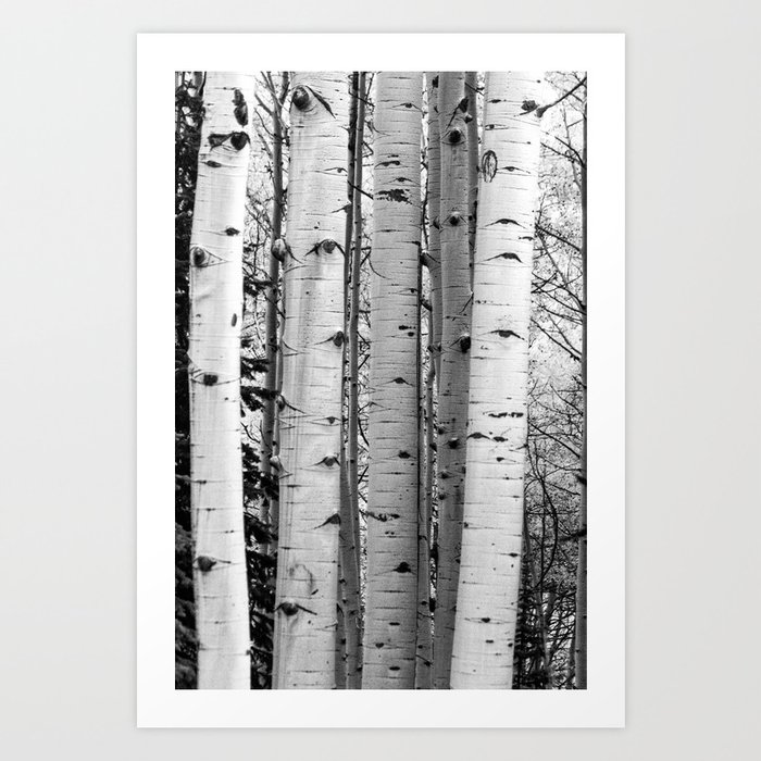 Into the Woods / Black & White Art Print