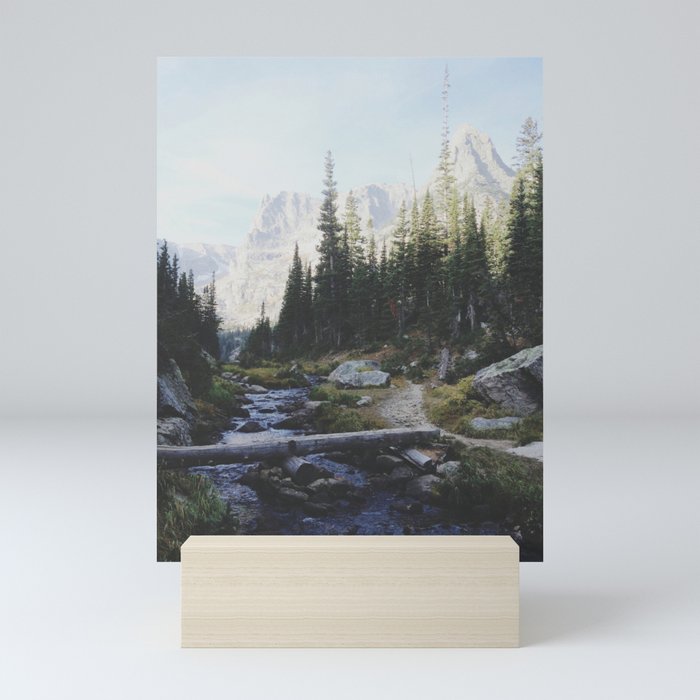 Rocky Mountain Creek Mini Art Print