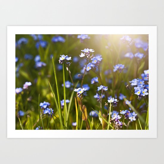 Forget me not flowers in sunlight Art Print