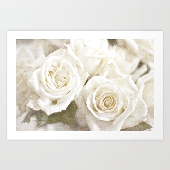 White Roses Art Print