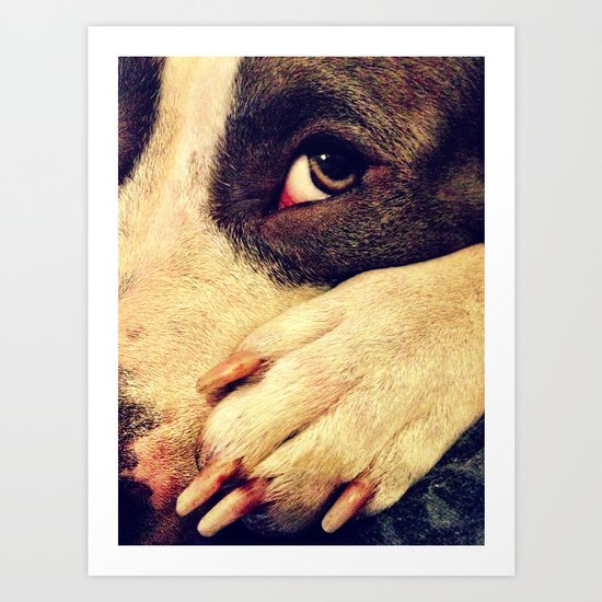 Pitbull profile Art Print