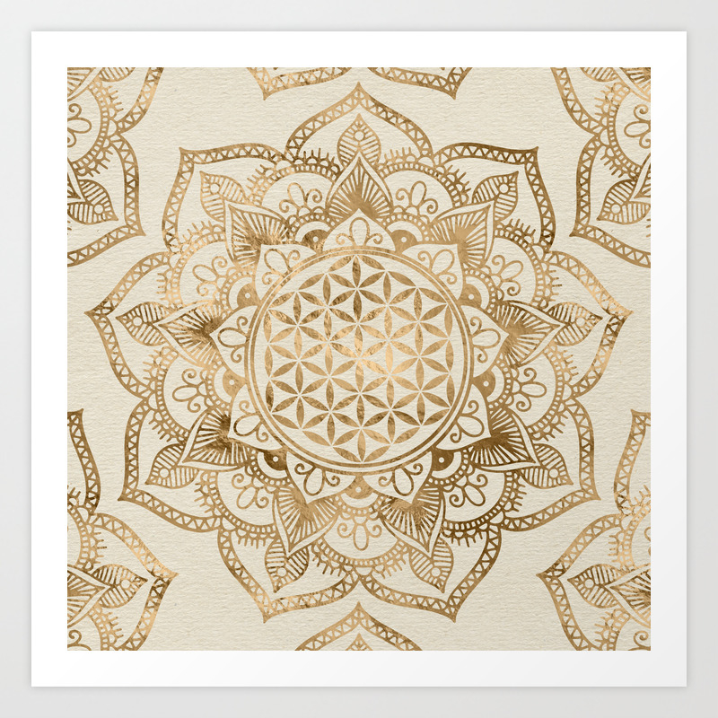 society6