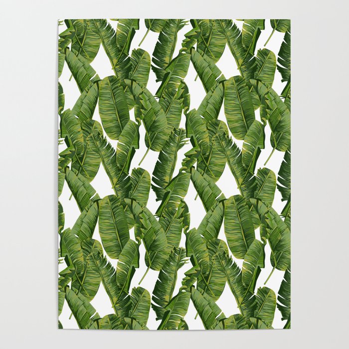 Banana leafs Poster