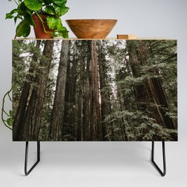Redwood Forest Dreams Credenza