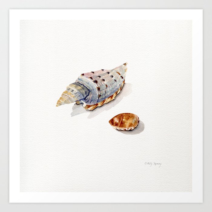Two Sea Shells Art Print