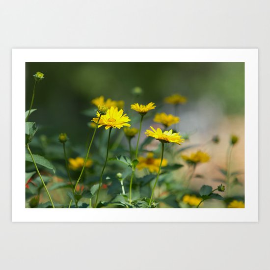 Sunny Road Art Print