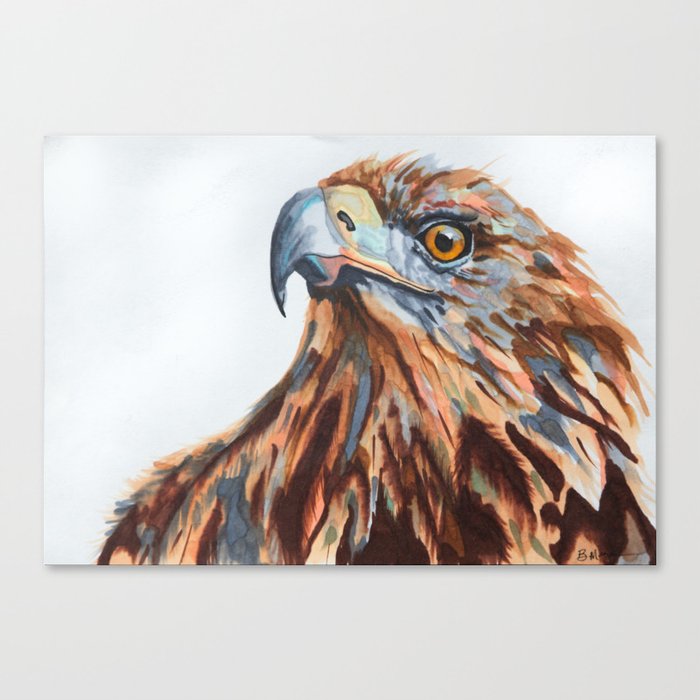 Shauns Golden Eagle Canvas Print