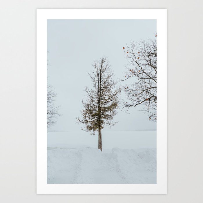 Lone Frozen Tree Art Print