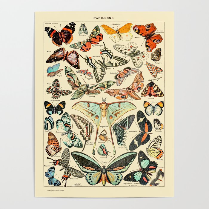 Cottagecore Decor, Famous Paintings, Retro Art, Unique Vintage Poster, Moth Design - Butterfly Poster