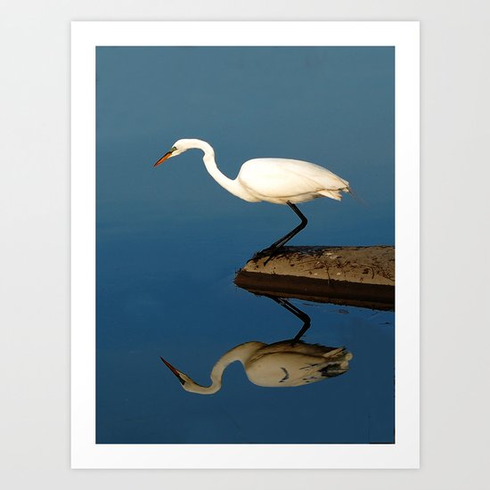 Bird Art Print