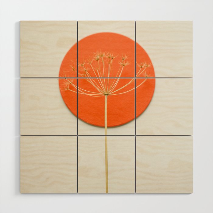 Orange circle and dried flower Wood Wall Art