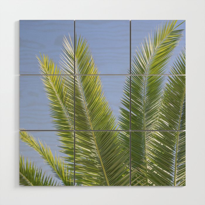 Botanical tropical palmtree art print - green blue leaves mediterranean travel photography Wood Wall Art