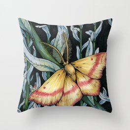 A Chickweed Geometer Moth Throw Pillow