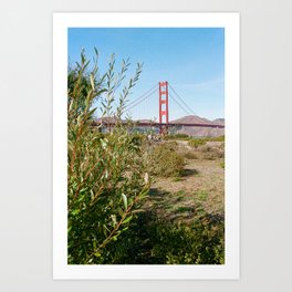 San Francisco California | Film Photo Art Print