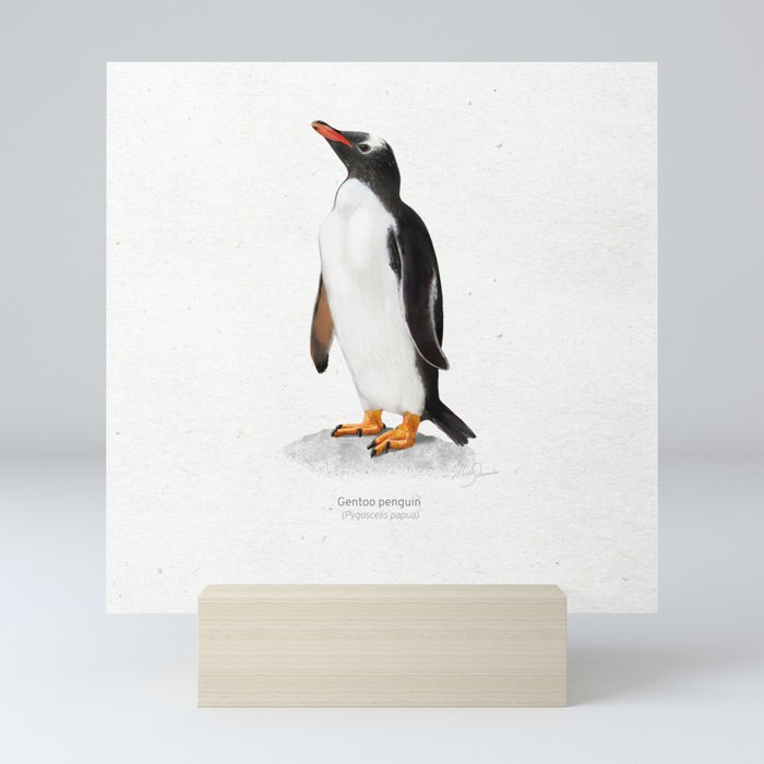 Gentoo penguin art print Mini Art Print