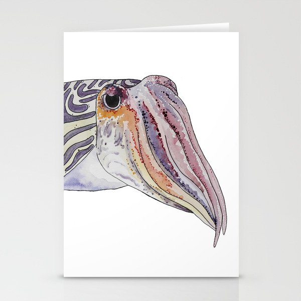 Cuttlefish Stationery Cards